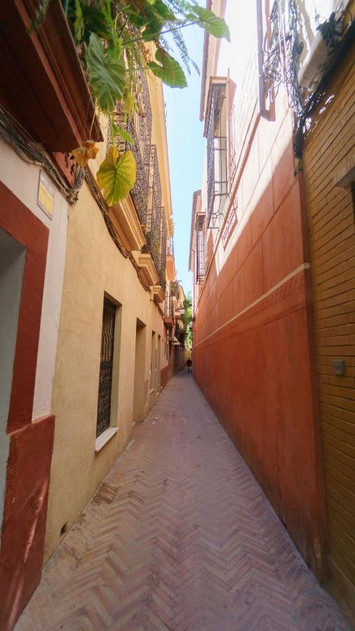 Rentalsevilla Verde Kültér fotó